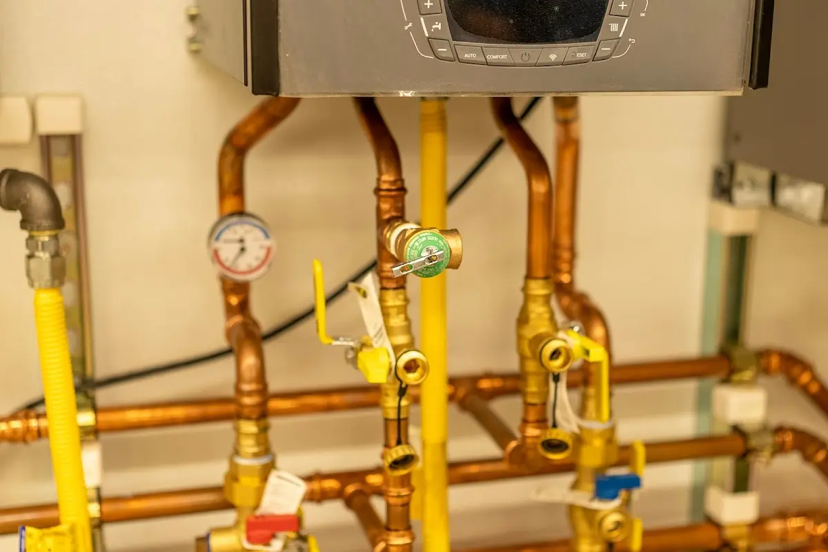 Licensed technician providing Sump Pump Repair for a homeowner in Roseland